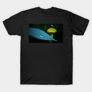 Yellow Mushroom and Droplet on a Leaf T-Shirt